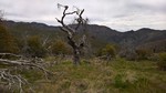 photo thumbnail #14
