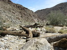 photo thumbnail #3