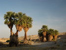 photo thumbnail #15