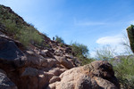 photo thumbnail #3