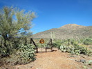 photo thumbnail #9
