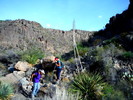 photo thumbnail #6