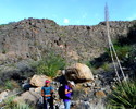 photo thumbnail #7
