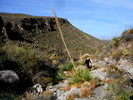 photo thumbnail #11