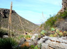 photo thumbnail #12