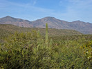 photo thumbnail #10