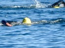 photo thumbnail #13