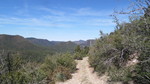 photo thumbnail #10