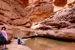 photo thumbnail #8