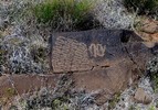 photo thumbnail #9