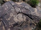 photo thumbnail #10