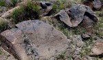 photo thumbnail #13