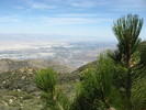 photo thumbnail #15