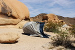 photo thumbnail #5