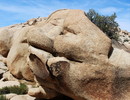 photo thumbnail #4
