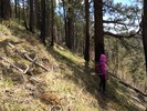 photo thumbnail #15