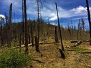 photo thumbnail #7