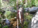 photo thumbnail #3