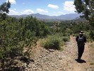 photo thumbnail #3