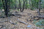 photo thumbnail #11