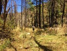 photo thumbnail #14