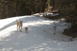 photo thumbnail #3