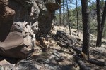 photo thumbnail #9