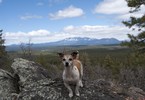 photo thumbnail #7
