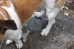 photo thumbnail #8