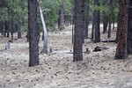 photo thumbnail #9