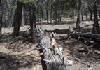 photo thumbnail #10
