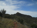 photo thumbnail #6