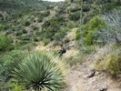 photo thumbnail #13