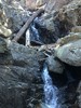 photo thumbnail #12
