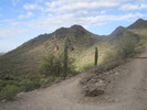 photo thumbnail #2