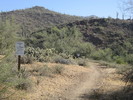 photo thumbnail #8