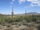 photo thumbnail #15