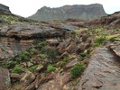 photo thumbnail #12