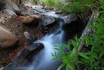 photo thumbnail #5