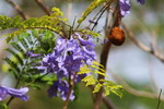 photo thumbnail #6