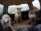 photo thumbnail #2