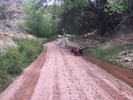 photo thumbnail #1