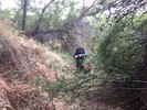 photo thumbnail #5