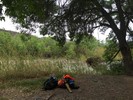 photo thumbnail #9