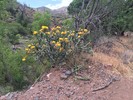 photo thumbnail #14