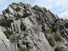 photo thumbnail #13