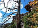photo thumbnail #12