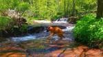photo thumbnail #3