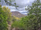 photo thumbnail #1