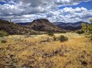 photo thumbnail #7